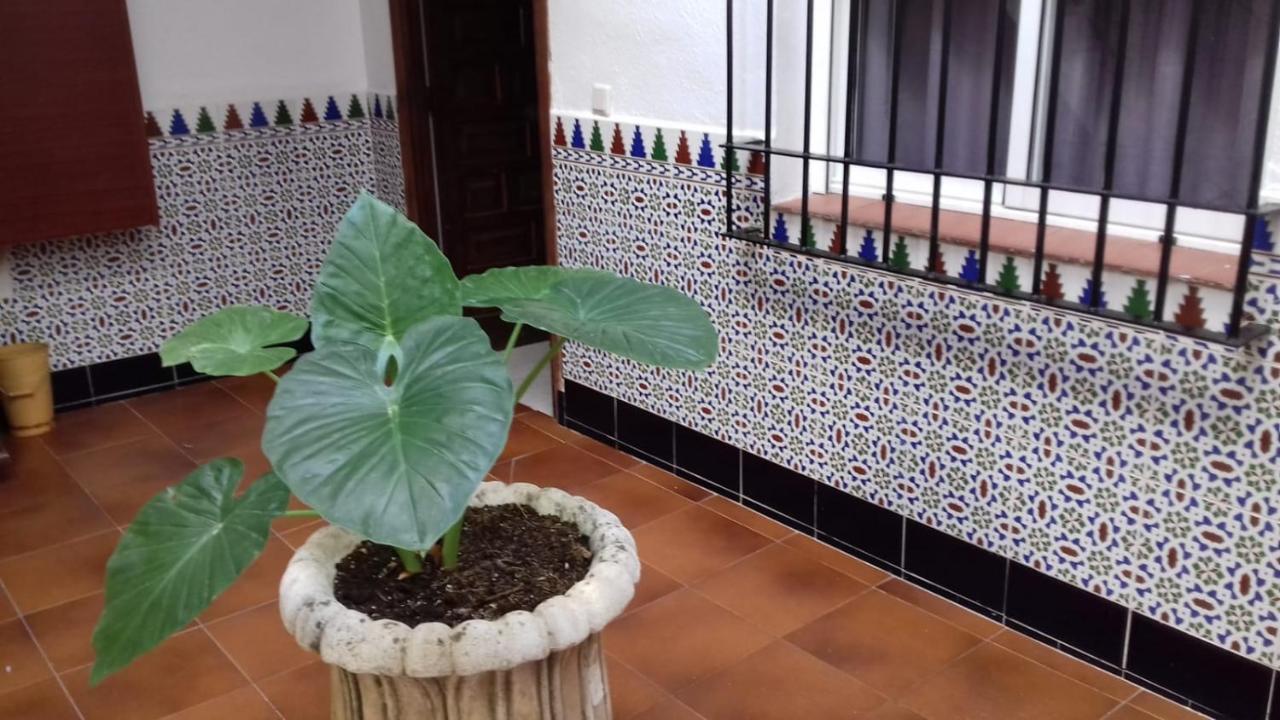 코르도바 Patio Pompeyos 아파트 외부 사진